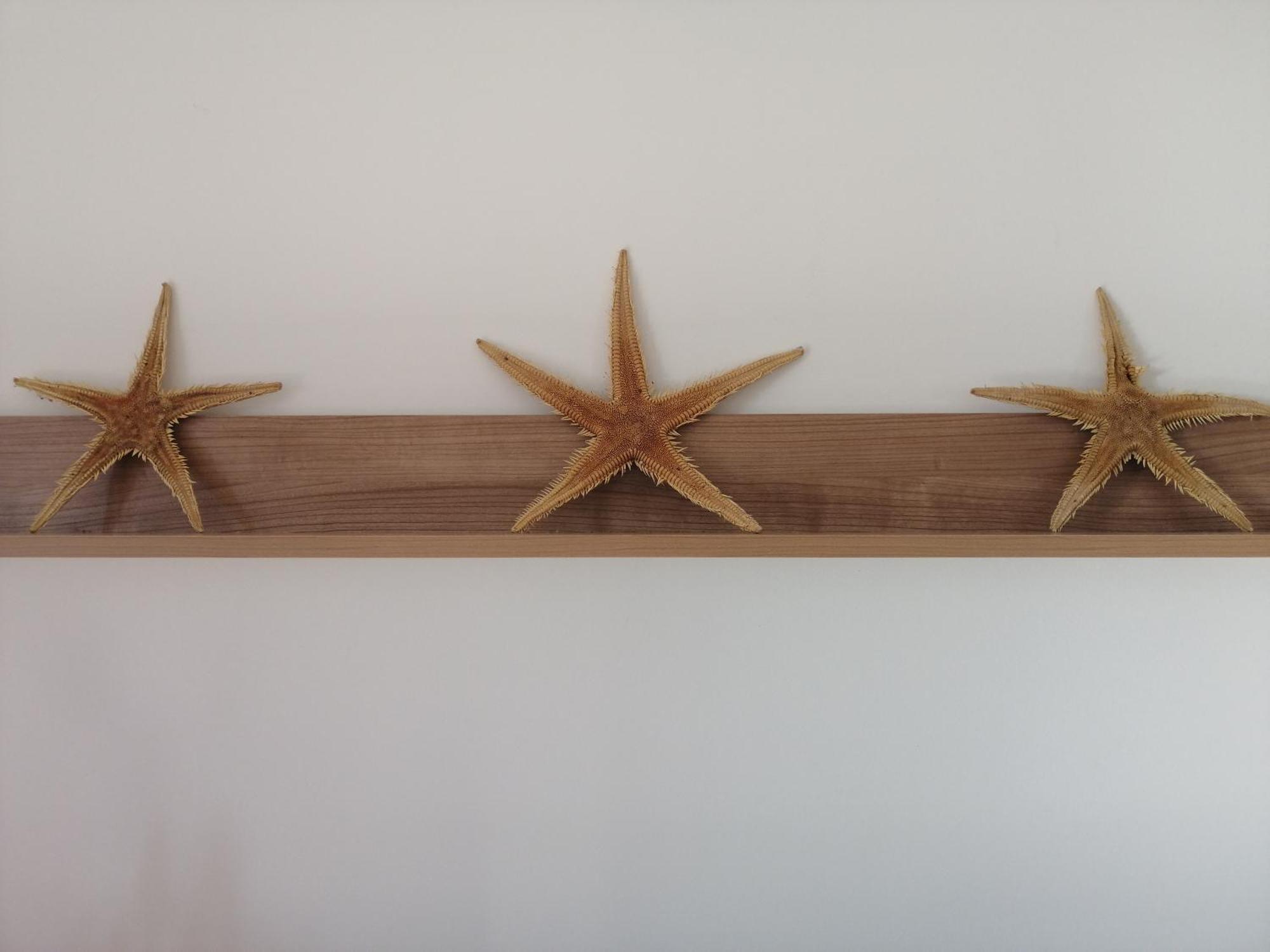 Apartmani Nada Klenovica Esterno foto